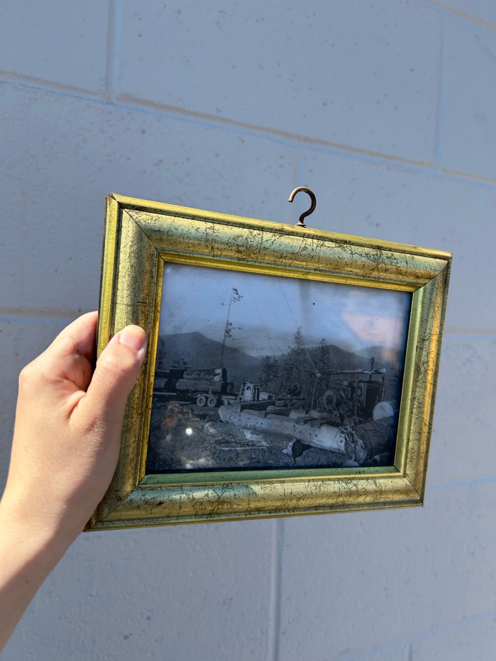 Small Gold Vintage Hanging Picture Frame wall art decor